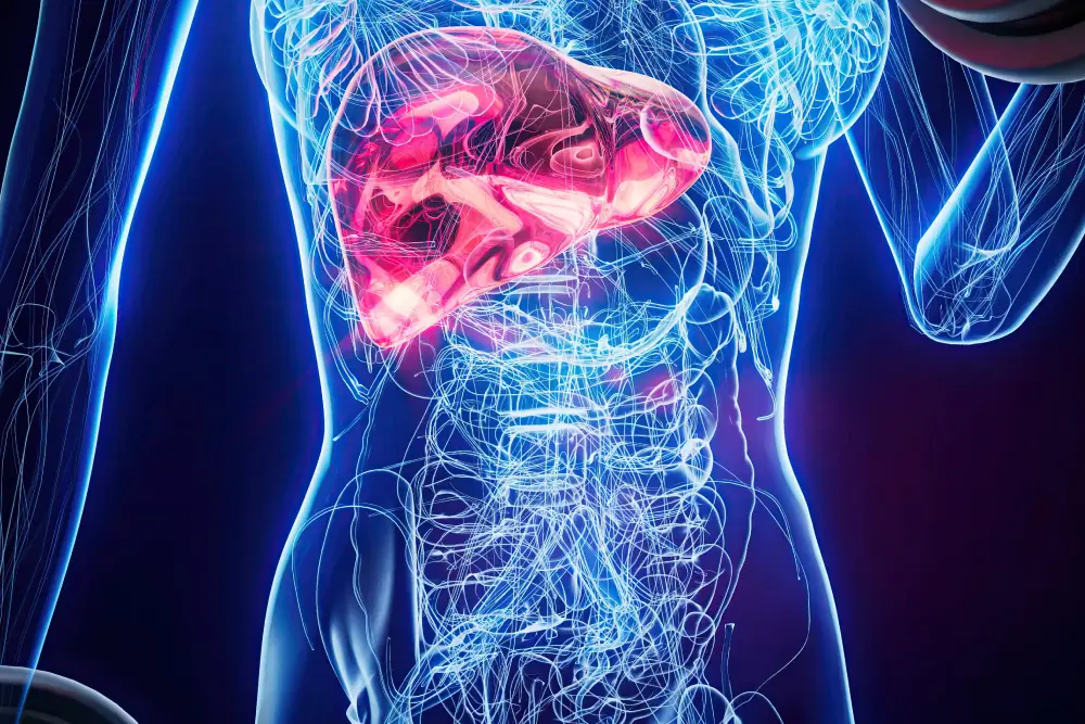 Liver Transplant: Hope, Healing & Advanced Care at Florence Nightingale