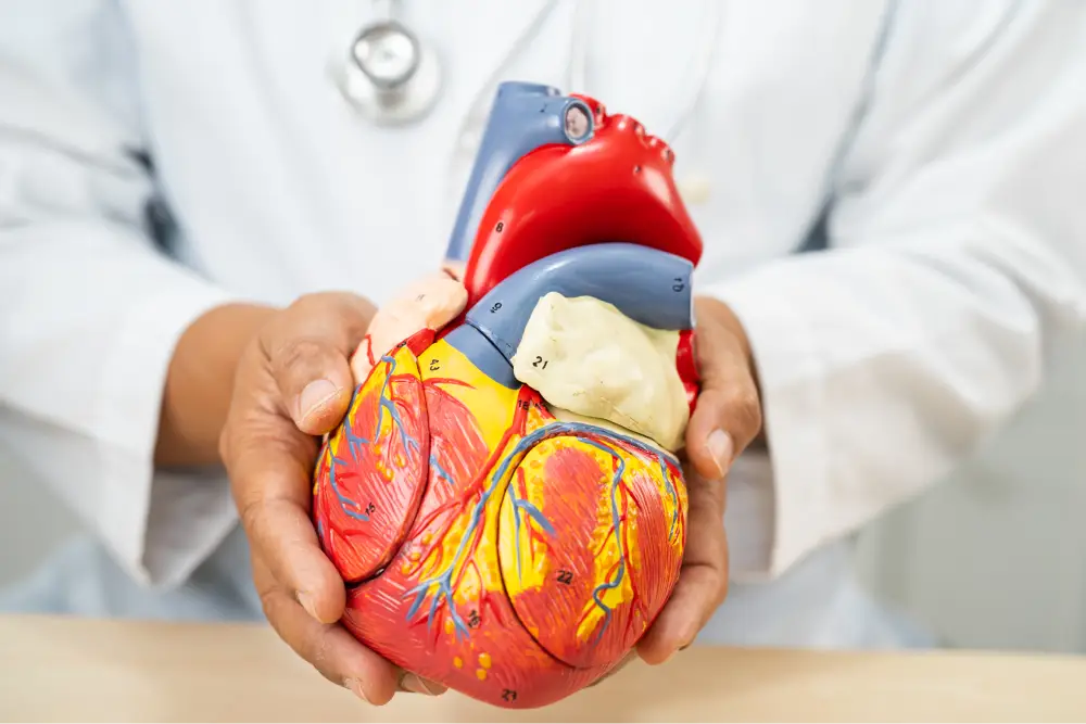 abdominal aortic aneurysm