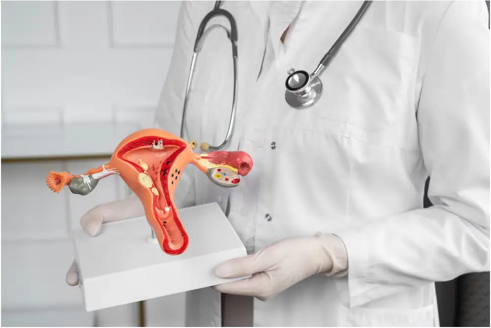 Adenomyosis: Symptoms, Causes, and Treatment Options