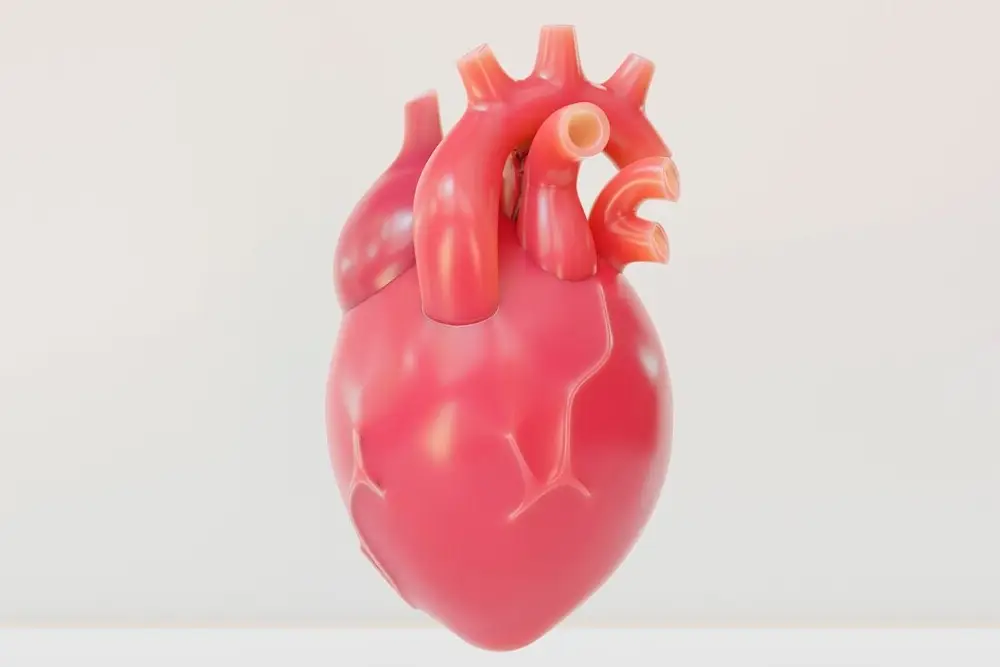atrioventricular valves