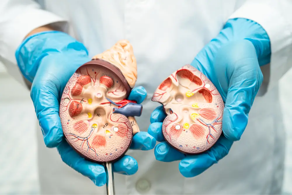 chronic kidney disease stage 3a
