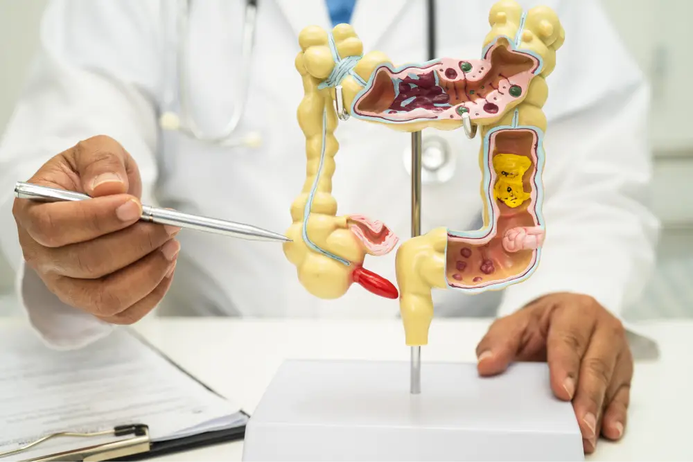 Internal hernia symptoms, causes, diagnosis, and treatment options