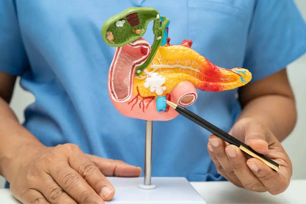 atrophic pancreas