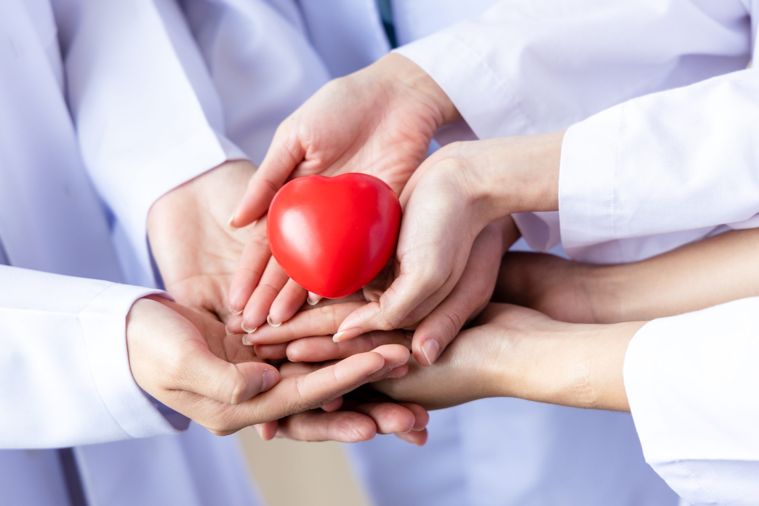 Understanding Brain Death and Its Essential Role in Lifesaving Organ Transplantation