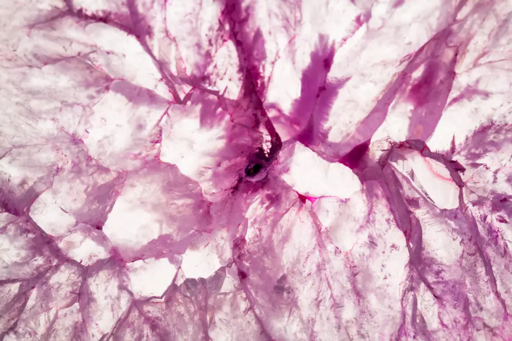 Understanding the Thymus Gland: Function, Disorders, and Treatment Options