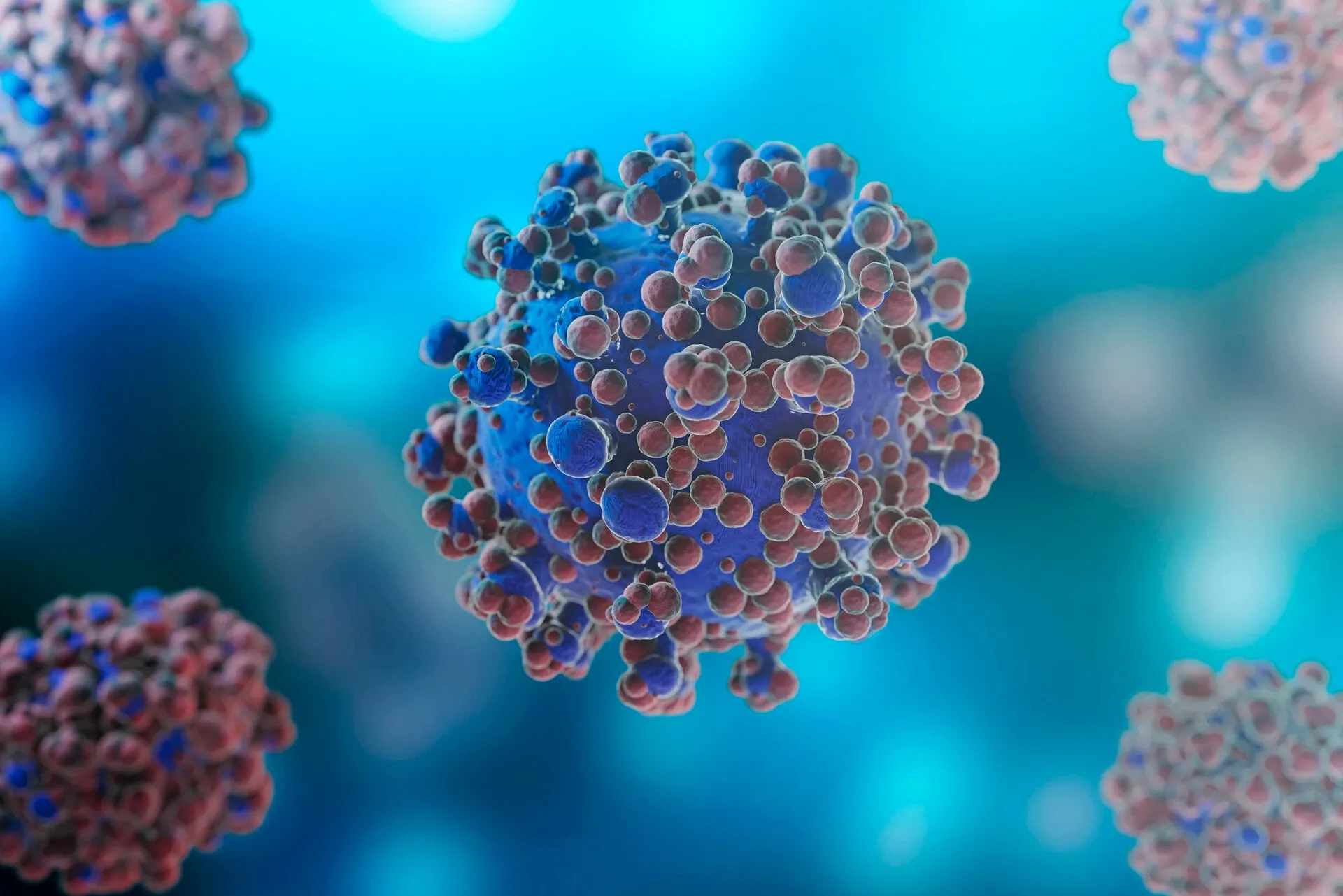 Monkeypox Virus