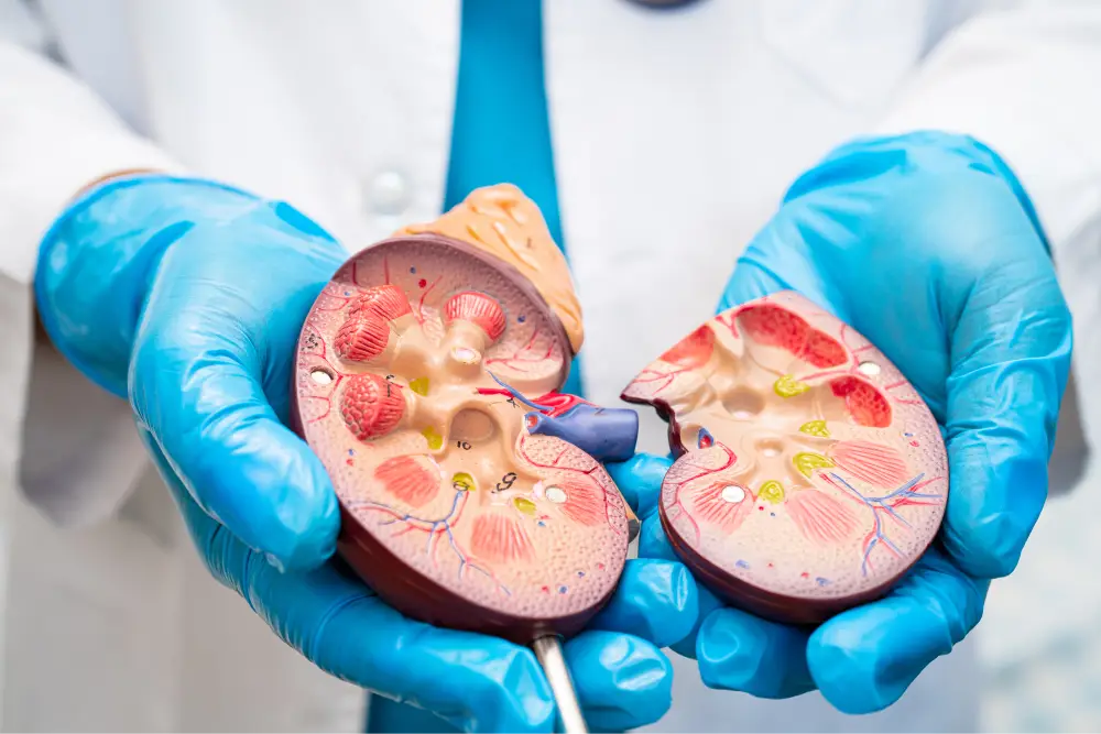 What is Paired Kidney Transplant, How is it Performed?
